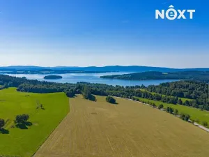 Prodej komerčního pozemku, Horní Planá, 12594 m2