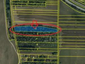 Prodej lesa, Mutěnice, 5100 m2