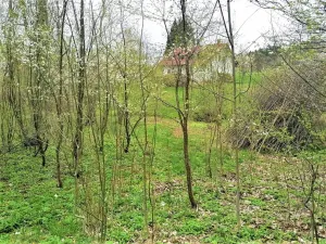 Prodej pozemku pro bydlení, Veselá, 170 m2