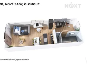 Pronájem bytu 1+kk, Olomouc, Věry Pánkové, 36 m2