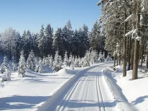 Prodej bytu 1+kk, Janov nad Nisou - Hrabětice, 24 m2