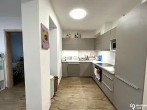 Pronájem bytu 2+kk, Olomouc, Andělská, 49 m2