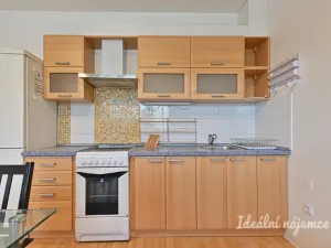 Pronájem bytu 2+kk, Brno, Sedláčkova, 55 m2