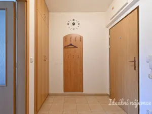Pronájem bytu 2+kk, Brno, Sedláčkova, 55 m2