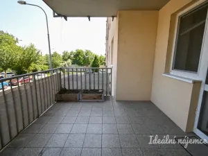 Pronájem bytu 2+kk, Brno, Sedláčkova, 55 m2