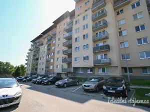 Pronájem bytu 2+kk, Brno, Sedláčkova, 55 m2