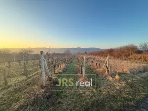 Prodej pozemku, Kobylí, 3139 m2