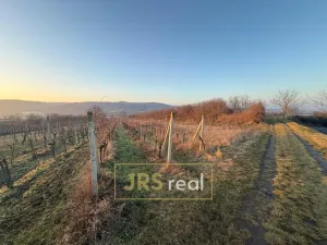 Prodej pozemku, Kobylí, 3139 m2