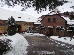 Prodej rodinného domu, Velemín - Milešov, 255 m2