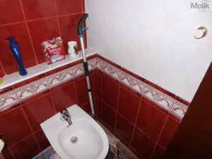 Prodej rodinného domu, Velemín - Milešov, 255 m2