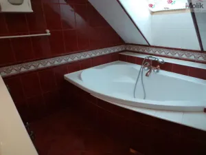 Prodej rodinného domu, Velemín - Milešov, 255 m2