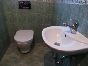 Prodej rodinného domu, Velemín - Milešov, 255 m2