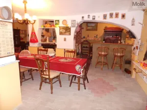 Prodej rodinného domu, Velemín - Milešov, 255 m2