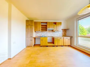 Prodej rodinného domu, Vysoký Chlumec, 212 m2