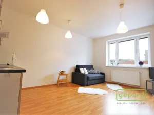 Pronájem bytu 1+kk, Brno - Žebětín, Říčanská, 30 m2