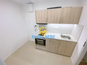 Pronájem bytu 1+kk, Praha - Žižkov, Baranova, 30 m2