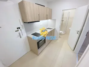 Pronájem bytu 1+kk, Praha - Žižkov, Baranova, 30 m2