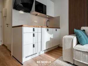 Pronájem bytu 1+kk, Praha - Vršovice, Kubánské náměstí, 21 m2