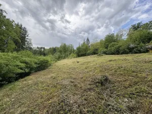 Prodej rodinného domu, Úžice - Radvanice, 200 m2