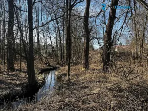 Prodej pozemku pro bydlení, Budišov nad Budišovkou - Guntramovice, 556 m2