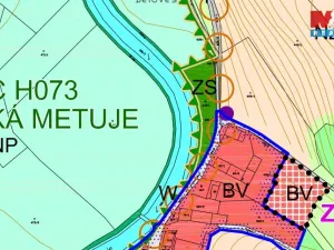 Prodej louky, Náchod - Běloves, 20495 m2