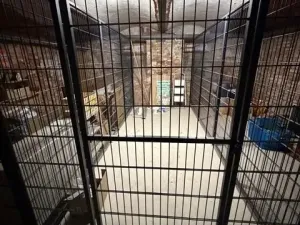 Prodej bytu 3+kk, Stěžery, Zámecká, 64 m2