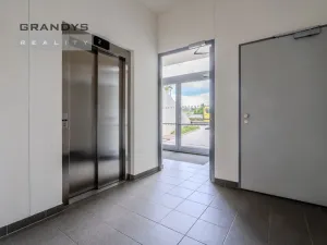 Prodej garážového stání, Praha - Hodkovičky, Šífařská, 13 m2