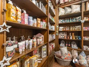 Prodej ubytování, Lázně Bělohrad, Lázeňská, 529 m2