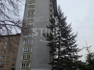 Prodej bytu 1+kk, Havířov, Fibichova, 26 m2