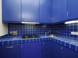 Pronájem bytu 2+1, Praha - Vinohrady, Anny Letenské, 54 m2