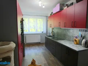 Pronájem bytu 3+1, Výprachtice, 68 m2