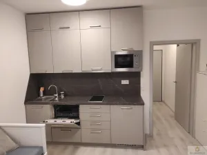 Pronájem bytu 1+kk, Olomouc, Wolkerova, 26 m2