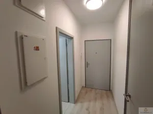 Pronájem bytu 1+kk, Olomouc, Wolkerova, 26 m2