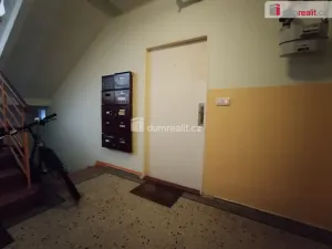 Pronájem bytu 2+1, Cheb, Hálkova, 52 m2