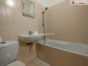 Pronájem bytu 2+1, Cheb, Hálkova, 52 m2