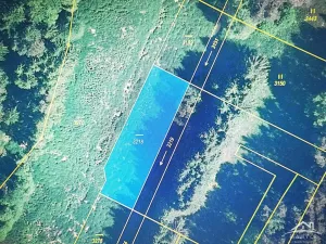 Prodej louky, Jindřichův Hradec - Dolní Radouň, 3500 m2