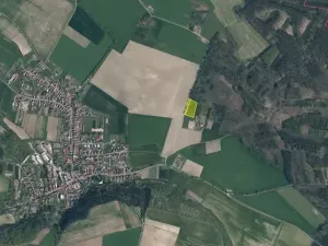 Prodej lesa, Bechlín, 6309 m2