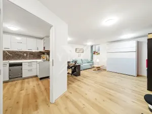 Prodej bytu 1+1, Praha - Liboc, Za vokovickou vozovnou, 55 m2