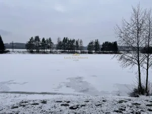 Prodej pozemku pro bydlení, Libuň, 4494 m2