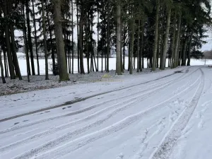 Prodej pozemku pro bydlení, Libuň, 4494 m2