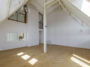 Pronájem bytu 5+1, Praha - Malá Strana, Újezd, 286 m2