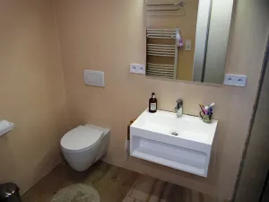 Pronájem bytu 2+1, Liberec - Liberec I-Staré Město, Svojsíkova, 63 m2