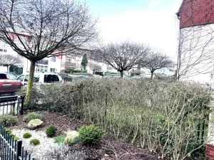 Prodej bytu 1+kk, Vestec, Ve Stromkách, 45 m2