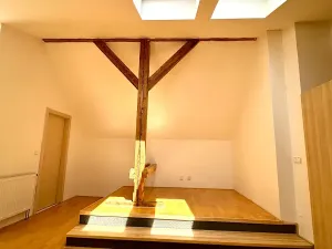 Pronájem bytu 2+kk, Praha - Vinohrady, Polská, 122 m2