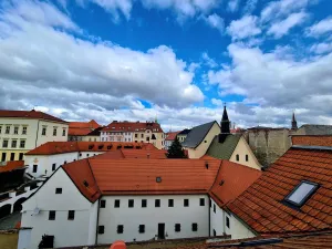 Pronájem bytu 1+1, Brno, Bašty, 30 m2