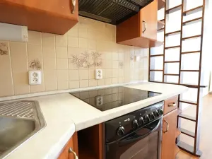 Pronájem bytu 1+kk, Beroun, U Židovského hřbitova, 41 m2