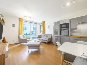 Prodej bytu 2+kk, Plzeň - Jižní Předměstí, Inženýrská, 50 m2