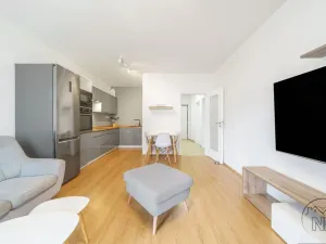 Prodej bytu 2+kk, Plzeň - Jižní Předměstí, Inženýrská, 50 m2