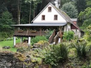 Prodej chalupy, Stráž nad Ohří - Srní, 300 m2