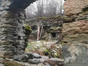 Prodej chalupy, Stráž nad Ohří - Srní, 300 m2